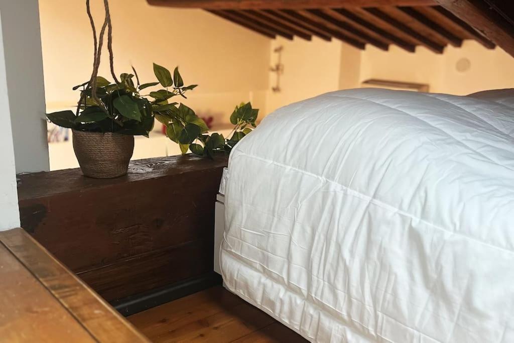 Romantic Apartment In フィレンツェ エクステリア 写真